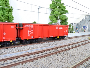 p-rolldachwagen-mit-feststellbremse-br-br-modell-des-db-ag-tamns-895-br-wagennummer-81-80-080-3-014-5-p-1437-4-1437-4.jpg